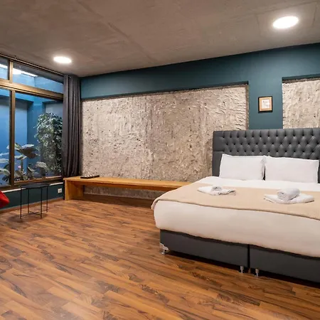 House Of Paralympic Athlete Mike Seitis Rhodes City