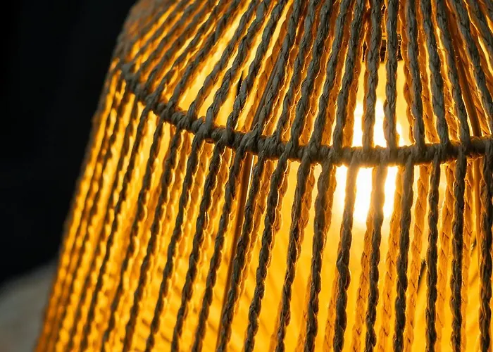 Daire House Of Paralympic Athlete Mike Seitis *